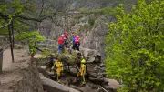 81-Jähriger stürzt am Hexentanzplatz in Thale ab und bleibt in Baum hängen