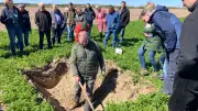 Acker-Experiment in Vorpommern: Bauer testet Käferbank und Vogelstreifen