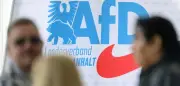 AfD in Sachsen-Anhalt laut Umfrage bei über 40 Prozent