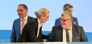 AfD-Spende aus Österreich illegal: Gericht bestätigt Strohmannverdacht
