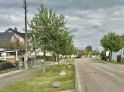 Apfelbäume in Waldersee: Anwohner zwischen Blütenzauber und Fruchtärger