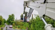Ast auf Stromleitung: Feuerwehreinsatz an B187 bei Gorsdorf