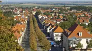 Auf der Allee in Ballenstedt: Wer ganz oben wohnt, hat es geschafft