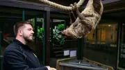 Azubi-Krise in Deutschland: Wunsch und Wirklichkeit klaffen auseinander