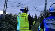 Bagger beschädigt Oberleitung: Bahnstrecke Dessau-Wittenberg lahmgelegt