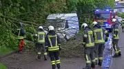 Baum blockiert Straße: Feuerwehr in Aschersleben im Einsatz
