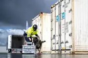 Bilanz 2025: Zoll stellt 1,5 Tonnen Kokain in Bremerhaven sicher
