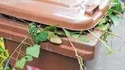 Biotonnen-Pflicht in Seenplatte vom Tisch: Modellregionen geplant