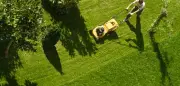 Biotrend im Garten: Männer setzen auf organischen Dünger