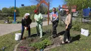 Blumen pflanzen im Gedenken an die Tragödie von Demmin 1945