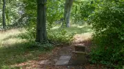 Bänke für den Lenssenpark in Zeitz: Wann kommen sie endlich?