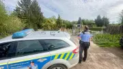 Brand in Helbra: Leiche und Waffen in Gartenlaube entdeckt