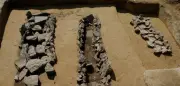 Bronzezeit-Geheimnisse: 3000 Jahre alte Knochen aus Sachsen-Anhalt