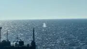 Buckelwal Timmy nach über einem Monat erfolgreich in die Nordsee zurückgebracht