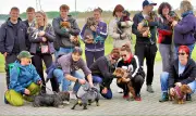 Dackelclub Petersroda: Dackelwanderung an der Goitzsche begeistert Massen