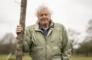 David Attenborough feiert 100. Geburtstag: Ein Leben für die Natur