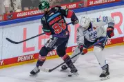 DEL-Finale: Adler Mannheim wollen Comeback gegen Berlin