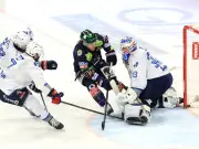 DEL-Finale: Eisbären Berlin vor Meisterschaft – Spiel fünf live
