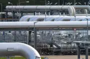 Durchsuchung bei Klimastiftung: Unterlagen zu Nord Stream 2 sichergestellt
