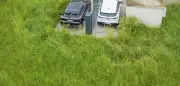 E-Auto-Hochburgen in Deutschland: Überraschende Regionen vorne
