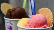 Eis wird 2026 zum Luxus: Preise in Sachsen-Anhalt steigen auf bis zu 2,50 Euro