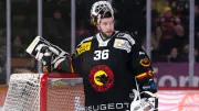 Eisbären auf Torwartsuche: Holt der Meister einen schwedischen Star?