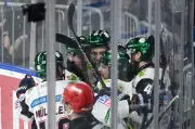 Eisbären Berlin holen zwölften DEL-Meistertitel in Mannheim