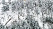 Eisheilige bringen Kältewelle: Schnee im Mai möglich