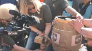 Erstes Jarmener Bier „Des Bibers Helles“ beim Oldtimer-Treffen ausverkauft