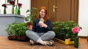 Erstmals Pflanzenmarkt im Museum Petersberg: Acht seltene Tomatensorten als Besuchermagnet