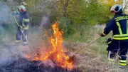 Feuerwehr Aschersleben löscht zwei Flächenbrände an der Froser Straße