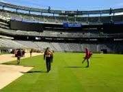 FIFA verlegt speziell gezüchteten Finalrasen ins WM-Stadion