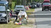 Flohmärkte in Vitense und Pokrent: Gebrauchtes bekommt zweite Chance