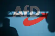 Forscher warnt: AfD wird immer rechtsextremer – trotzdem steigen Umfragen
