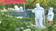 Frau in Auto tot aufgefunden: Mordverdächtiger in Bad Rappenau gefasst