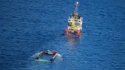 Freilassung des Ostsee-Wals: Tierquälerei-Vorwürfe gegen Kapitän