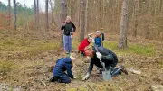 Freiwillige Waldbauer: Helfer packen in der Dübener Heide an