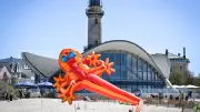 Frühlingslandgang in Warnemünde: Drachen, Sandburgen und Tausende Besucher