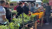 Frühlingsmarkt in Gadebusch lockt mit Pflanzen und regionalen Köstlichkeiten
