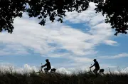 Frisch sanierte Radwege in Brandenburg bis Sommer fertig