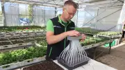 Gartensaison 2026: Tentakel-Sägerät revolutioniert Hobby-Gärtnern