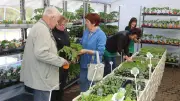Gartensaison startet: Profi warnt vor Schock im Pflanzenbeet