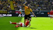 Gänsehaut-Momente: Sterner treibt Dynamo Dresden zum Klassenerhalt