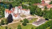Graugänse-Küken verzaubern Besucher auf Schlossinsel Boitzenburg
