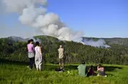 Großbrand im Nationalpark Böhmische Schweiz: 500 Einsatzkräfte im Kampf gegen die Flammen