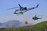 Großbrand im Nationalpark Böhmische Schweiz: Hubschrauber im Dauereinsatz