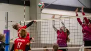 Halle Hurricanes: Neuer Angriff auf die zweite Liga – Kaderumbau läuft