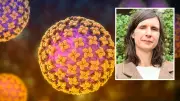 Hantavirus auf Hondius: Expertin klärt über Mutation und Übertragung auf