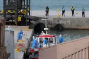 Hantavirus auf Kreuzfahrtschiff: Wie gefährlich ist die Infektion?