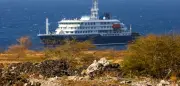 Hantavirus-Ausbruch: Argentinien entsendet Experten nach Ushuaia